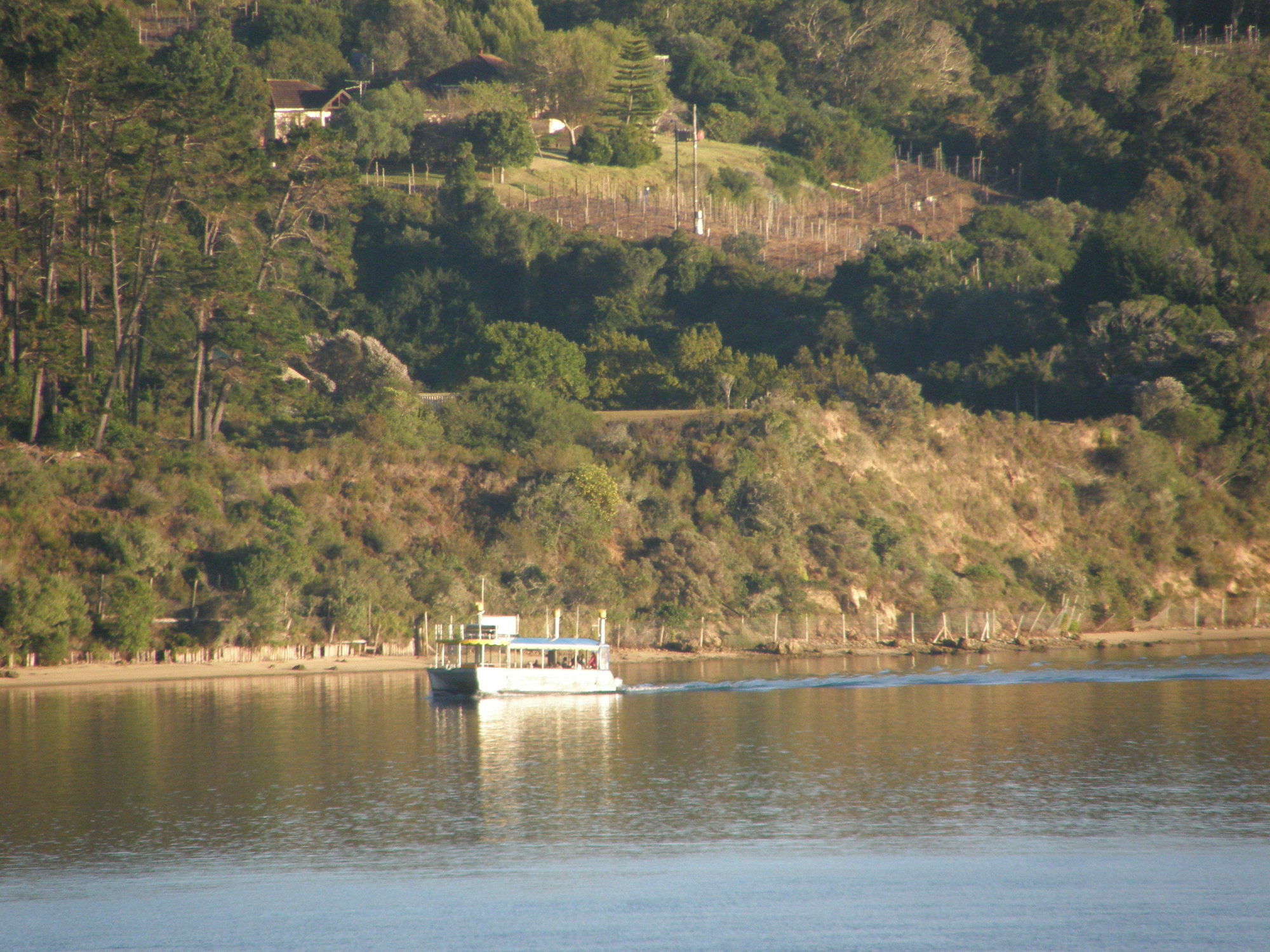 Augusta Bay Guest House Knysna Eksteriør billede